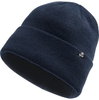 Čepice Watch Cap modrá
